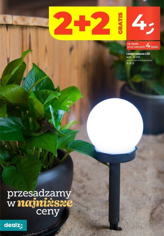 Gazetka Dealz 13.02.2025 - 23.08.2025