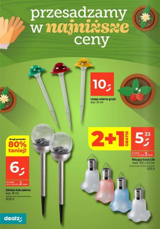 Gazetka Dealz 13.02.2025 - 23.08.2025
