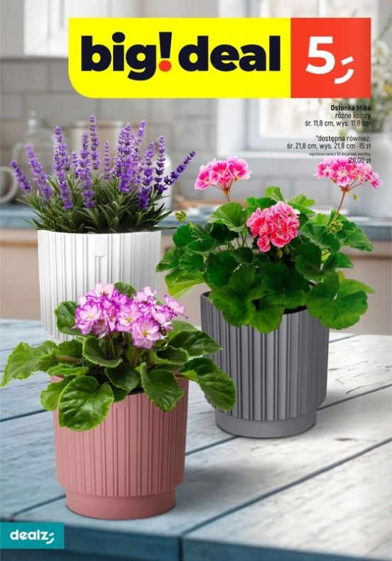 Gazetka Dealz 13.02.2025 - 23.08.2025