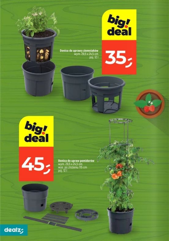 Gazetka Dealz 13.02.2025 - 31.07.2025