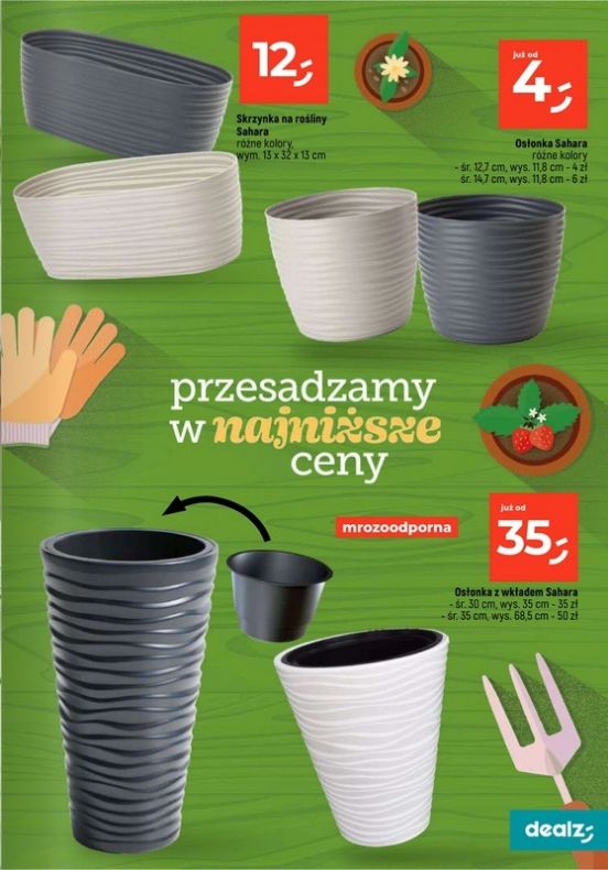 Gazetka Dealz 13.02.2025 - 31.07.2025