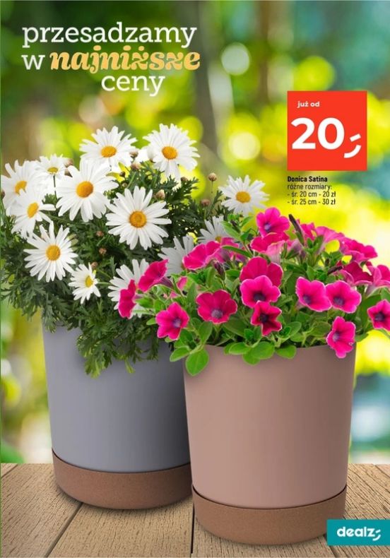 Gazetka Dealz 13.02.2025 - 31.07.2025