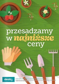 Gazetka Dealz 03.07.2025 - 09.07.2025