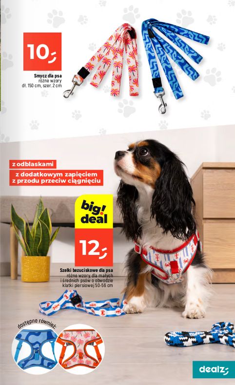Gazetka Dealz 25.06.2026 - 01.07.2026