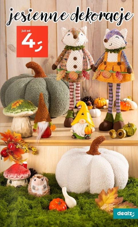 Gazetka Dealz 14.08.2025 - 20.08.2025