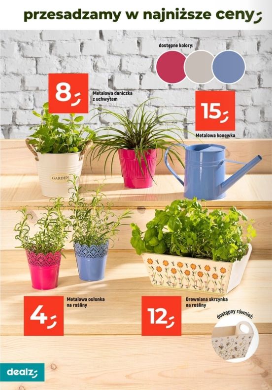 Gazetka Dealz 13.02.2025 - 30.06.2025