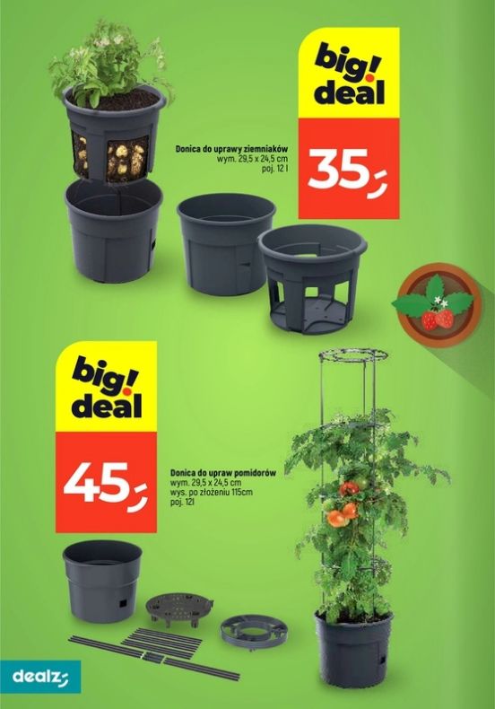 Gazetka Dealz 13.02.2025 - 30.06.2025
