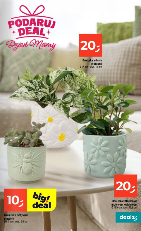 Gazetka Dealz 21.05.2026 - 27.05.2026