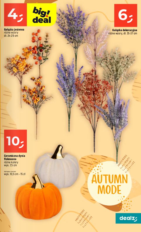 Gazetka Dealz 13.08.2026 - 19.08.2026
