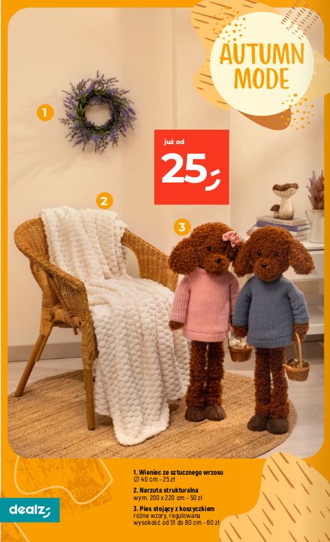 Gazetka Dealz 13.08.2026 - 19.08.2026