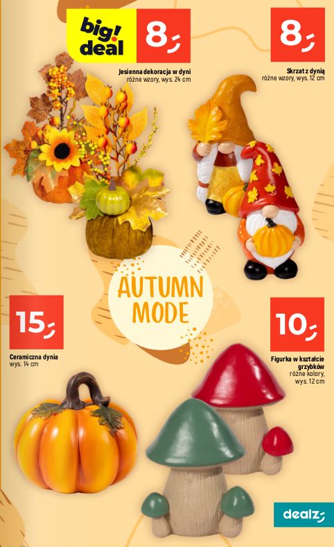 Gazetka Dealz 13.08.2026 - 19.08.2026