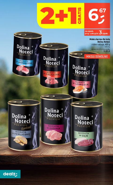 Gazetka Dealz 13.08.2026 - 19.08.2026