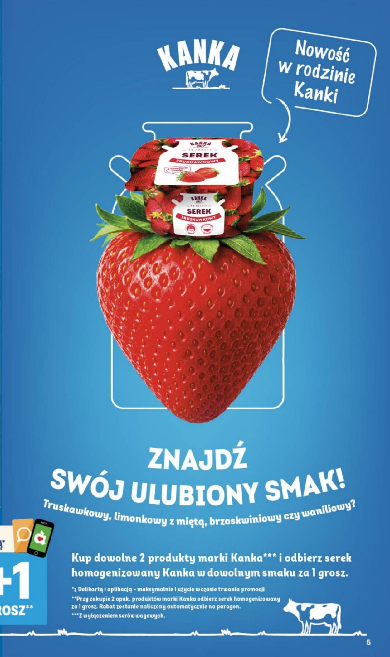 Gazetka Delikatesy Centrum 13.08.2026 - 19.08.2026