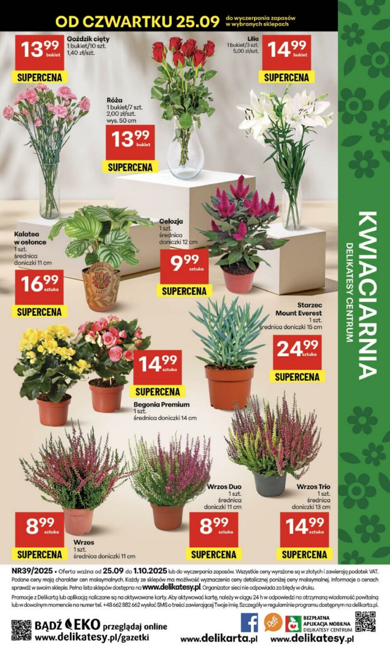 Gazetka Delikatesy Centrum 25.09.2025 - 01.10.2025