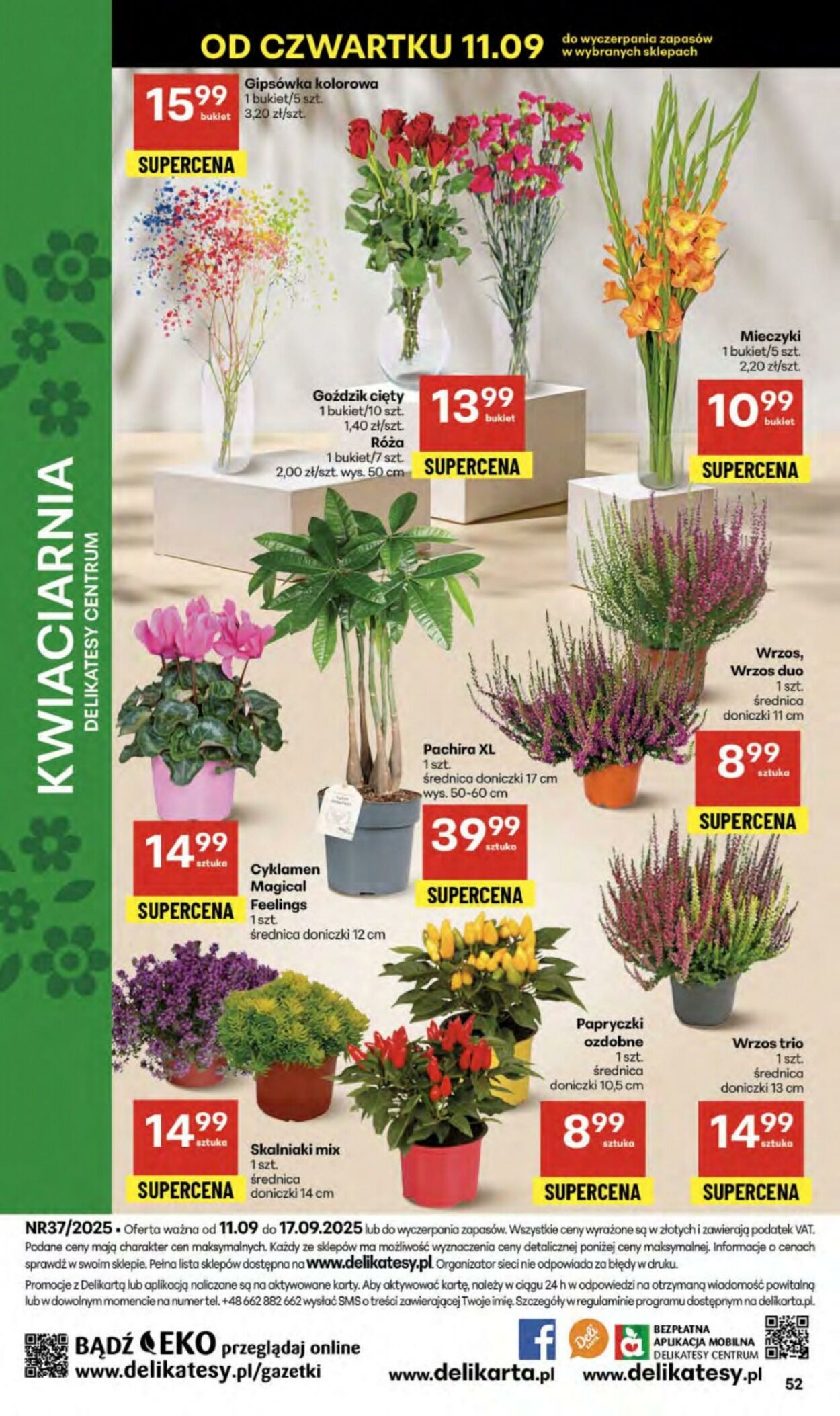 Gazetka Delikatesy Centrum 11.09.2025 - 17.09.2025