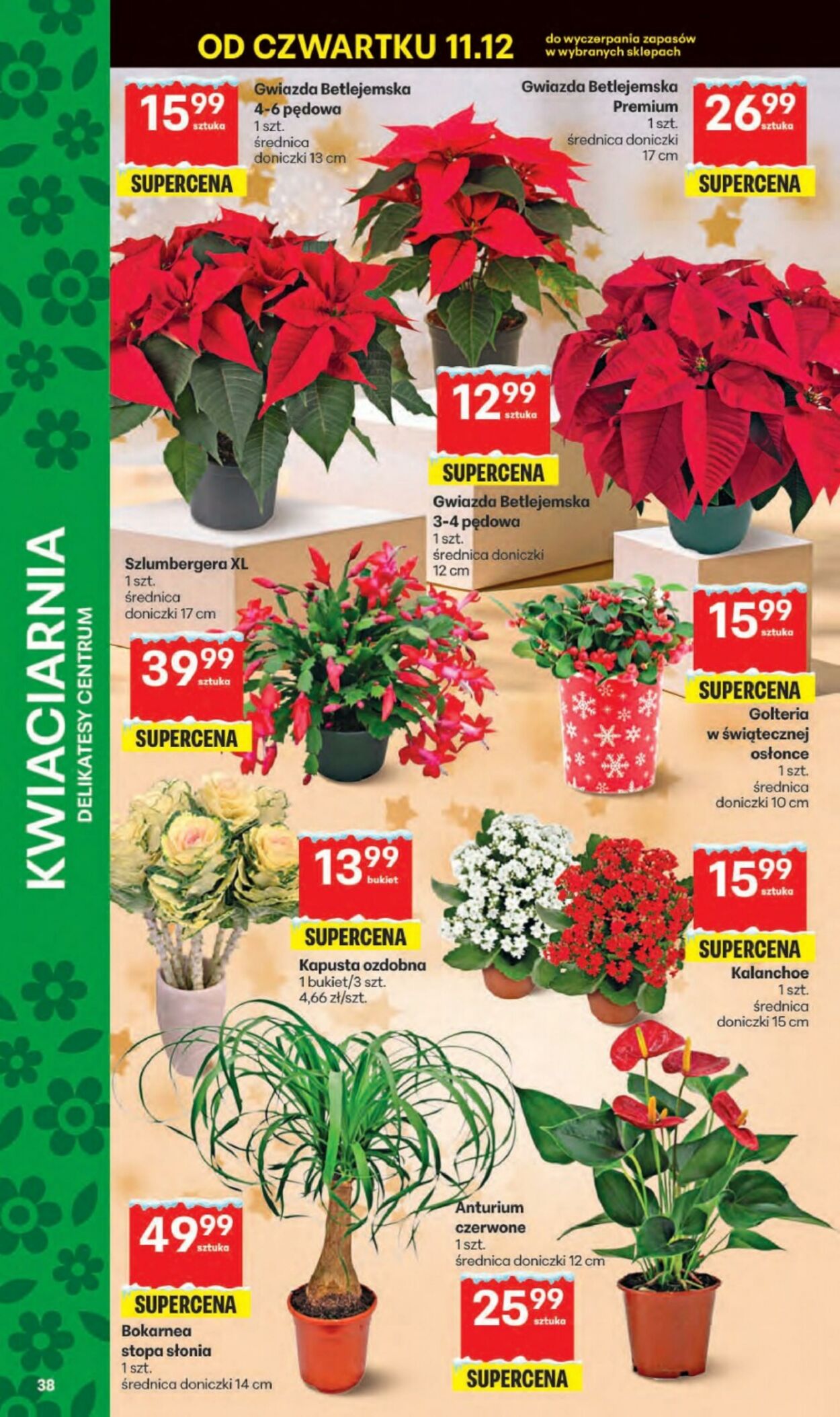 Gazetka Delikatesy Centrum 11.12.2025 - 17.12.2025