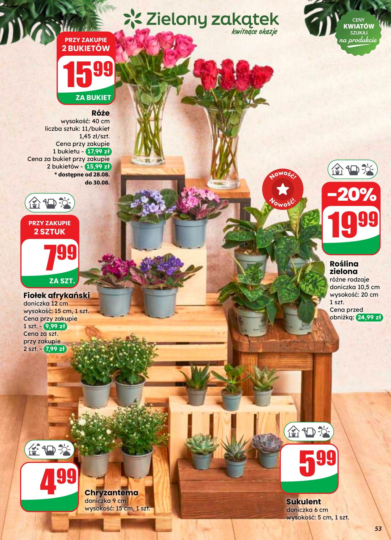 Gazetka DINO 27.08.2025 - 02.09.2025
