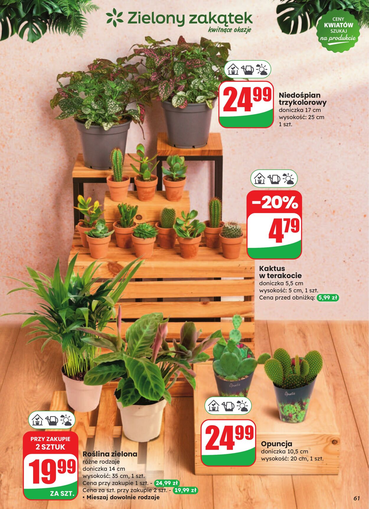 Gazetka DINO 13.08.2025 - 19.08.2025