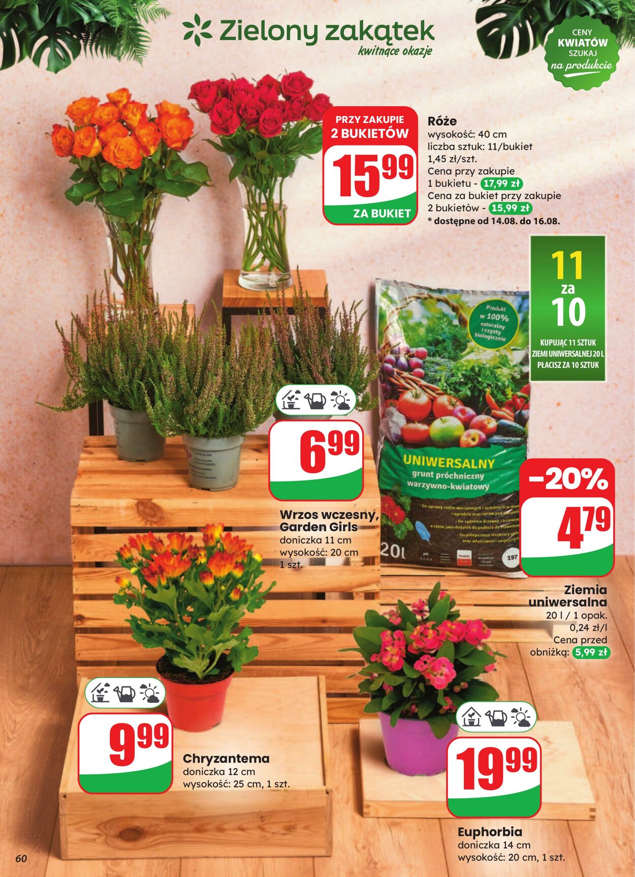 Gazetka DINO 13.08.2025 - 19.08.2025