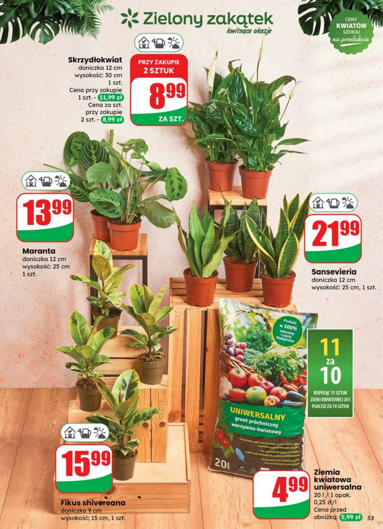 Gazetka DINO 30.07.2025 - 05.08.2025