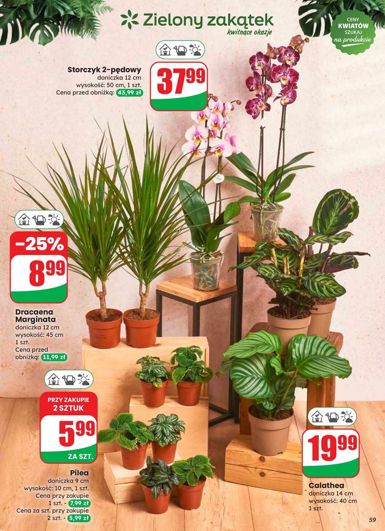 Gazetka DINO 20.08.2025 - 26.08.2025