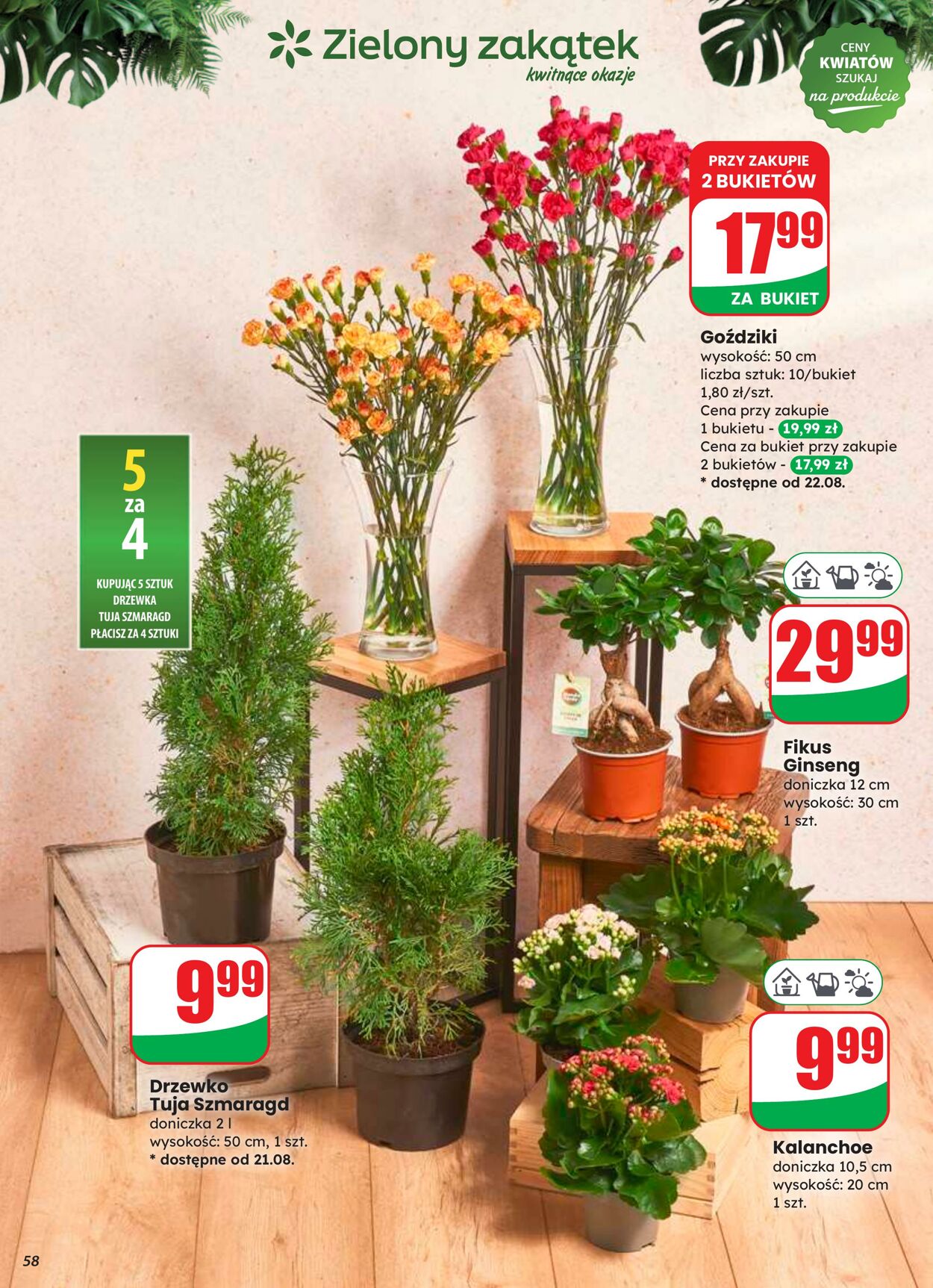 Gazetka DINO 20.08.2025 - 26.08.2025