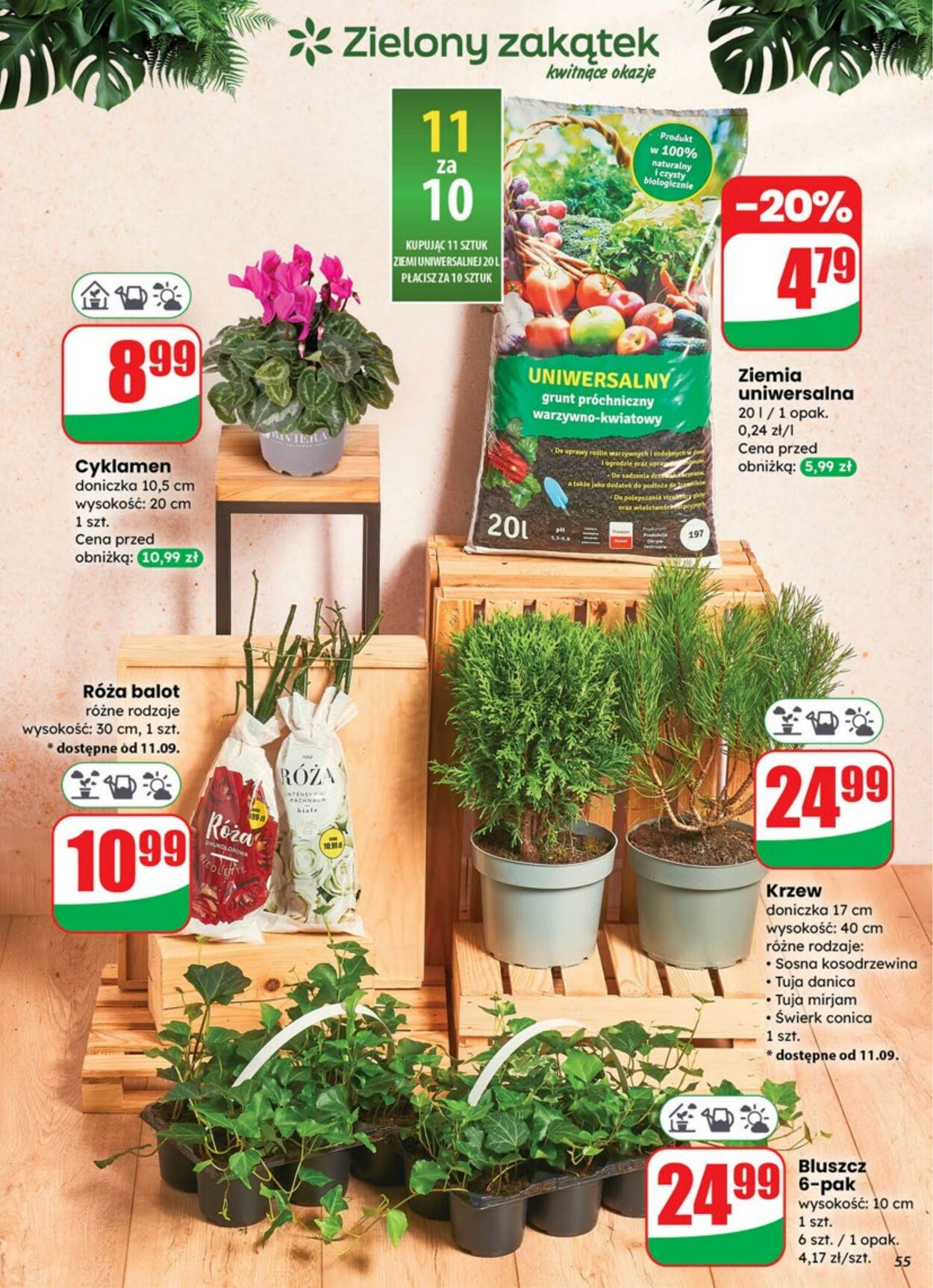 Gazetka DINO 10.09.2025 - 16.09.2025