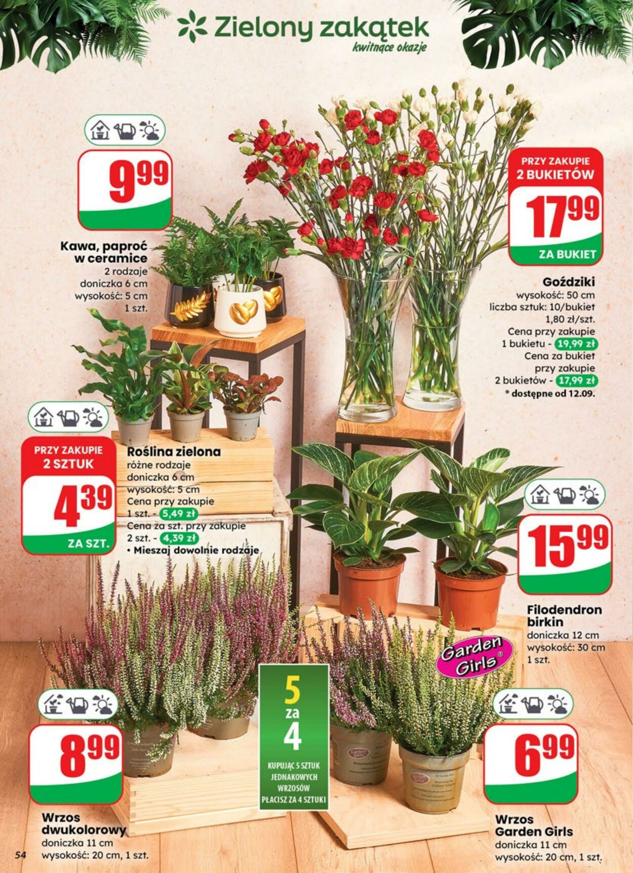 Gazetka DINO 10.09.2025 - 16.09.2025
