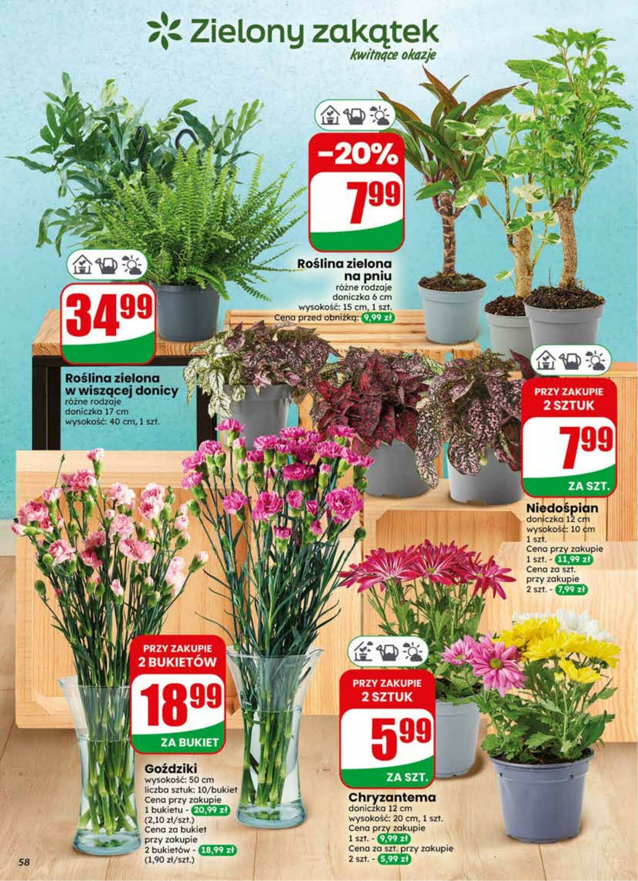 Gazetka DINO 03.06.2026 - 09.06.2026
