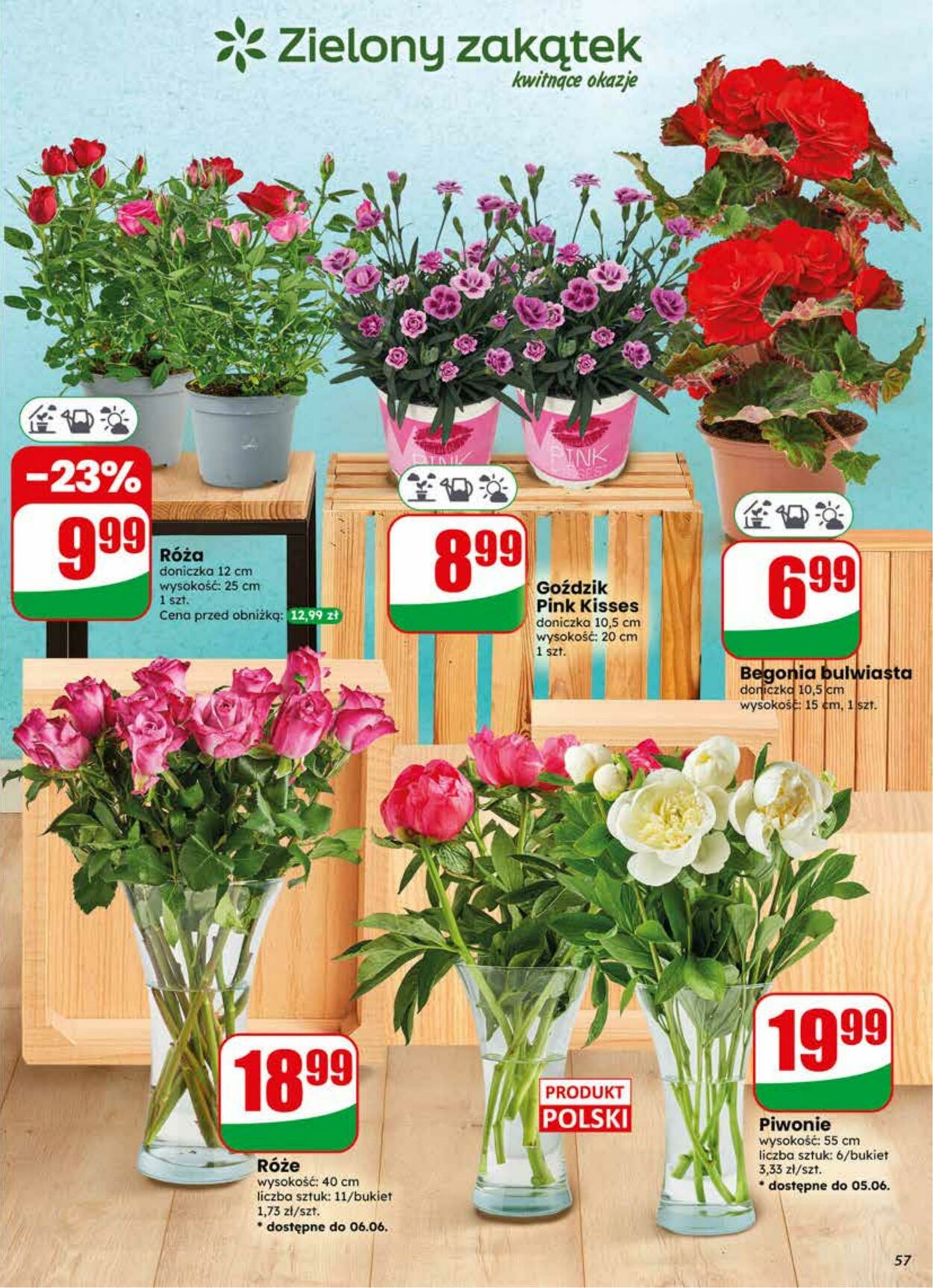 Gazetka DINO 03.06.2026 - 09.06.2026