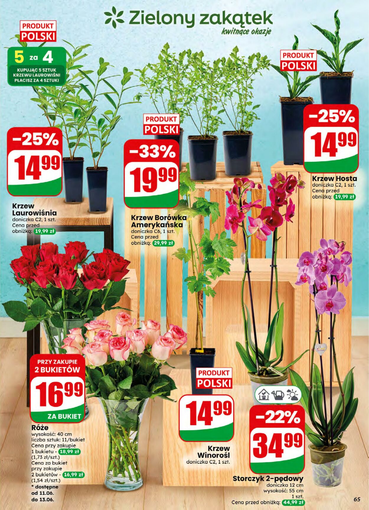 Gazetka DINO 10.06.2026 - 16.06.2026