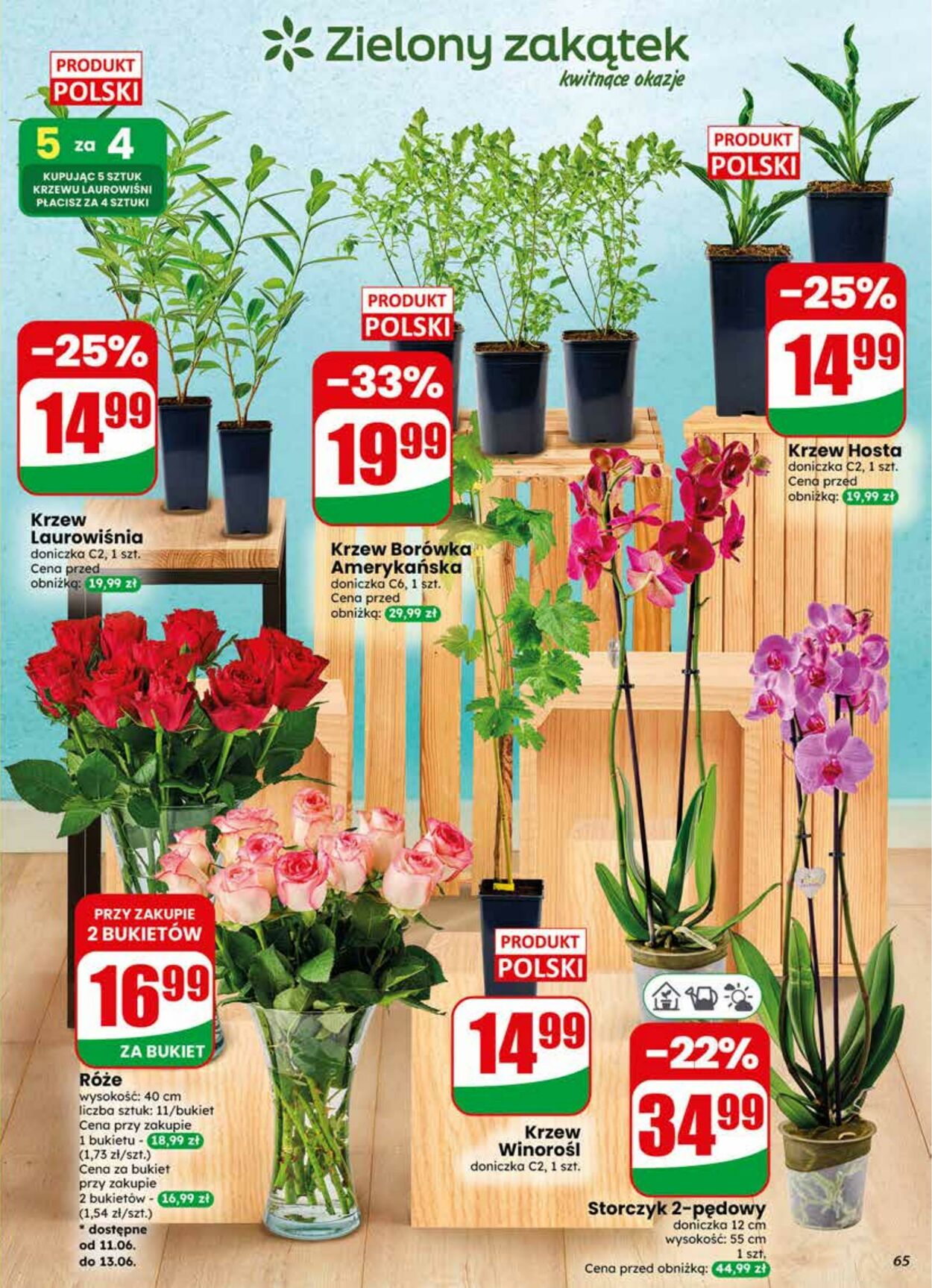 Gazetka DINO 10.06.2026 - 16.06.2026