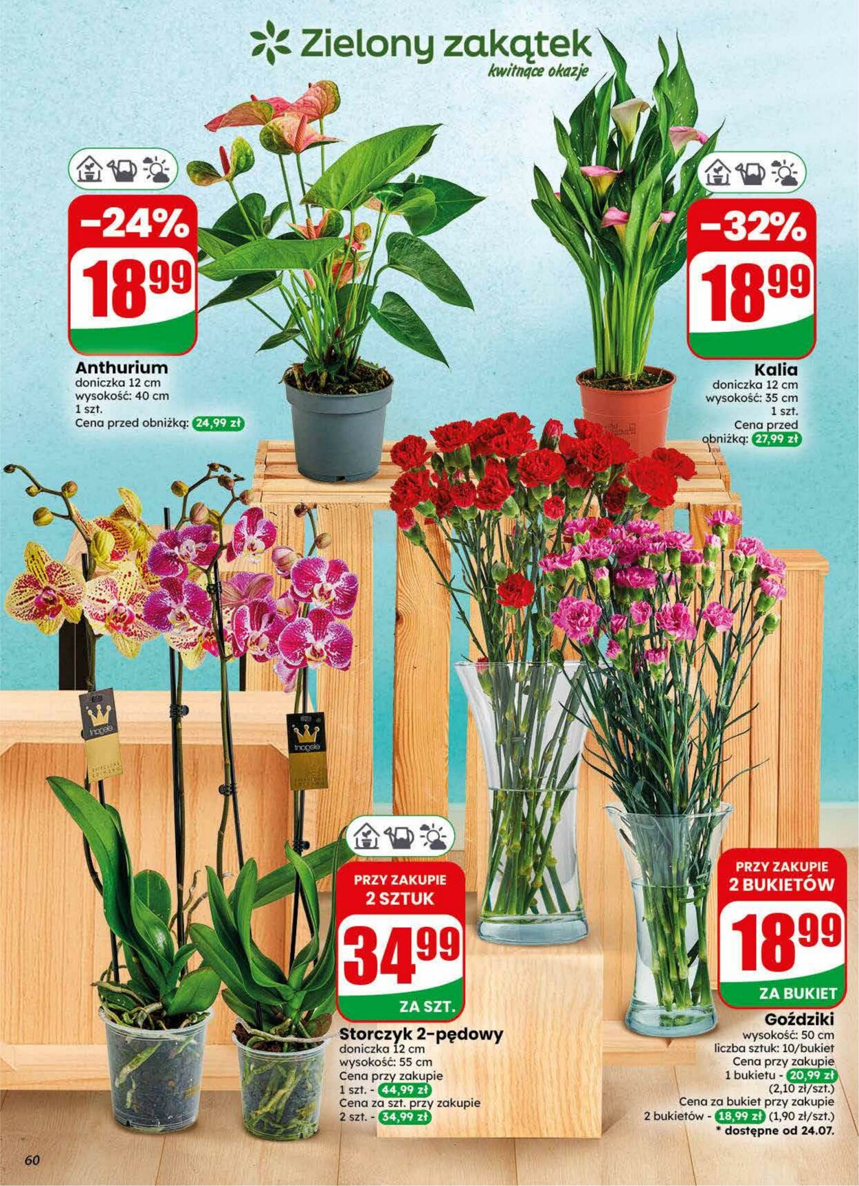 Gazetka DINO 22.07.2026 - 28.07.2026