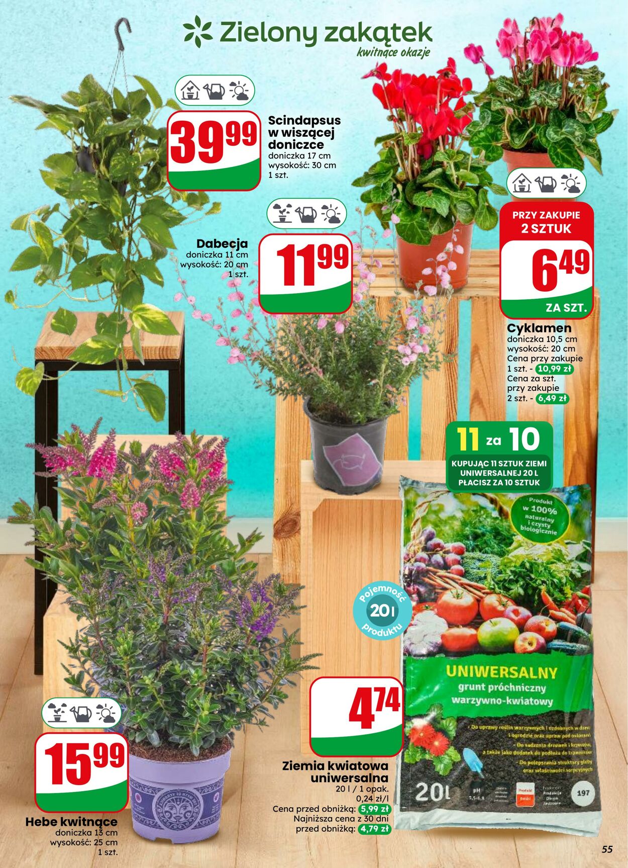 Gazetka DINO 29.07.2026 - 04.08.2026