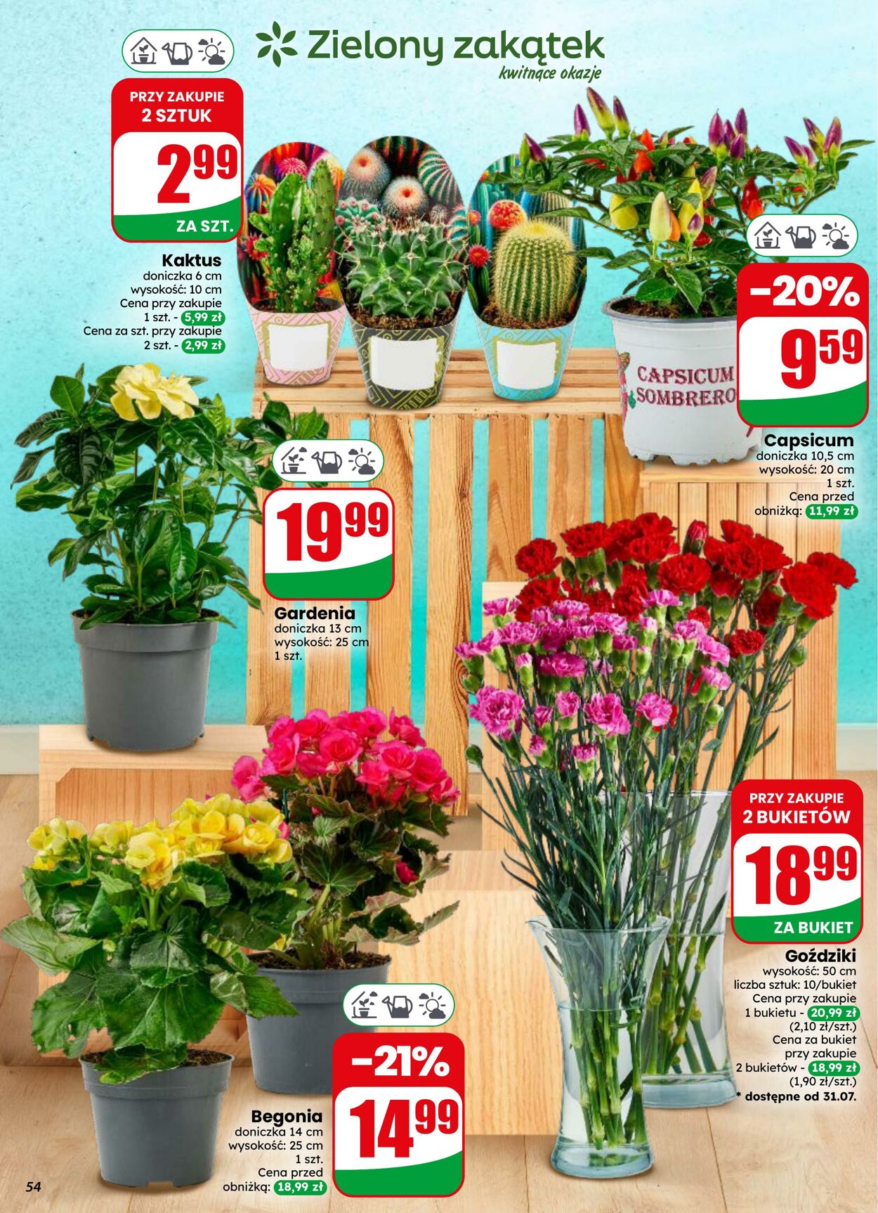 Gazetka DINO 29.07.2026 - 04.08.2026