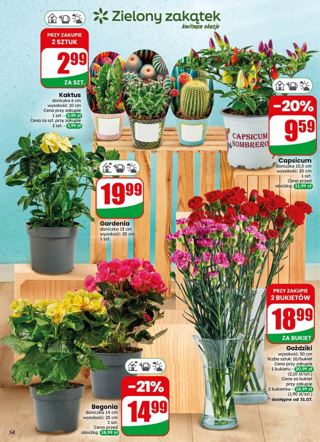 Gazetka DINO 29.07.2026 - 04.08.2026