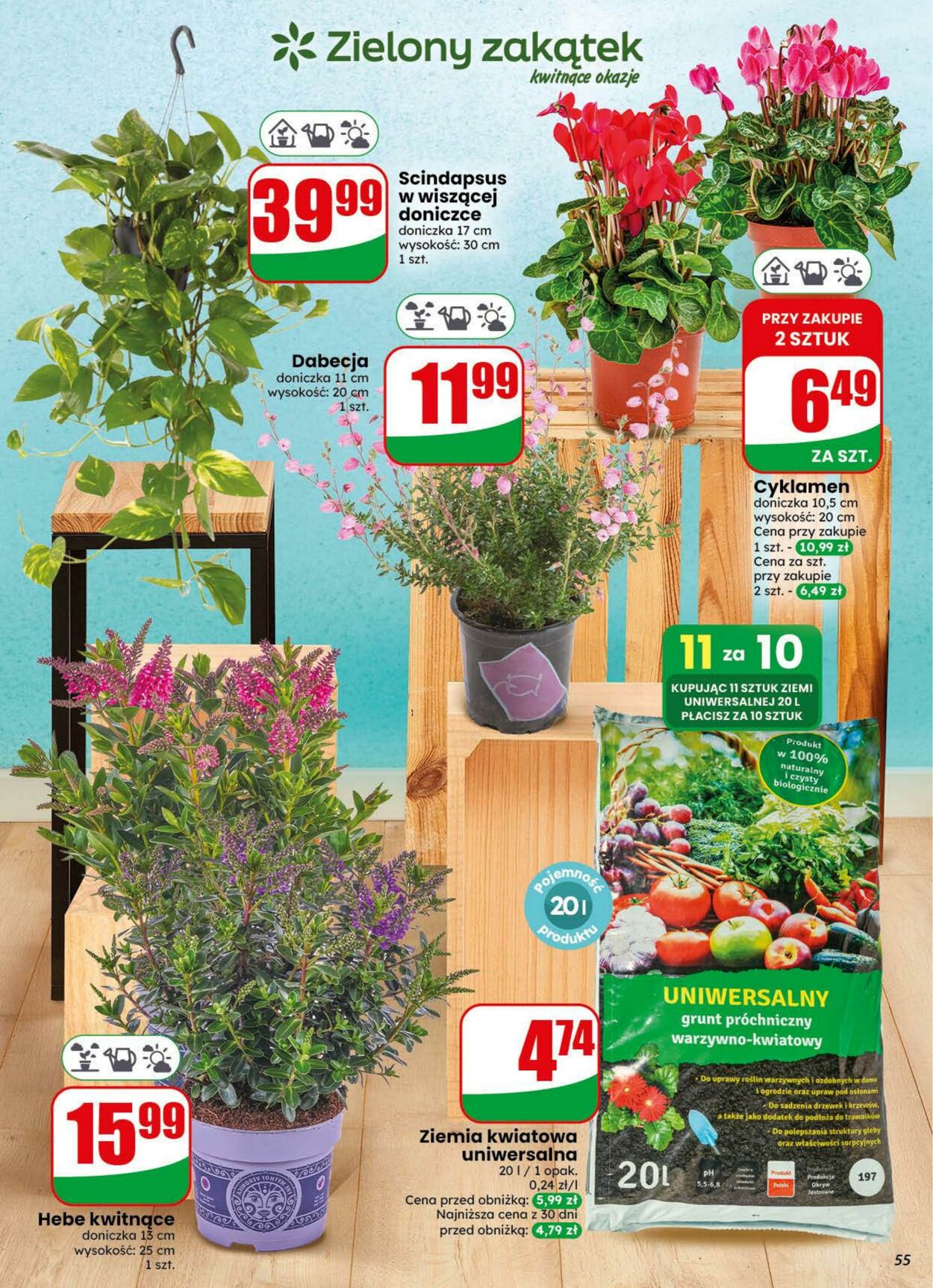 Gazetka DINO 29.07.2026 - 04.08.2026