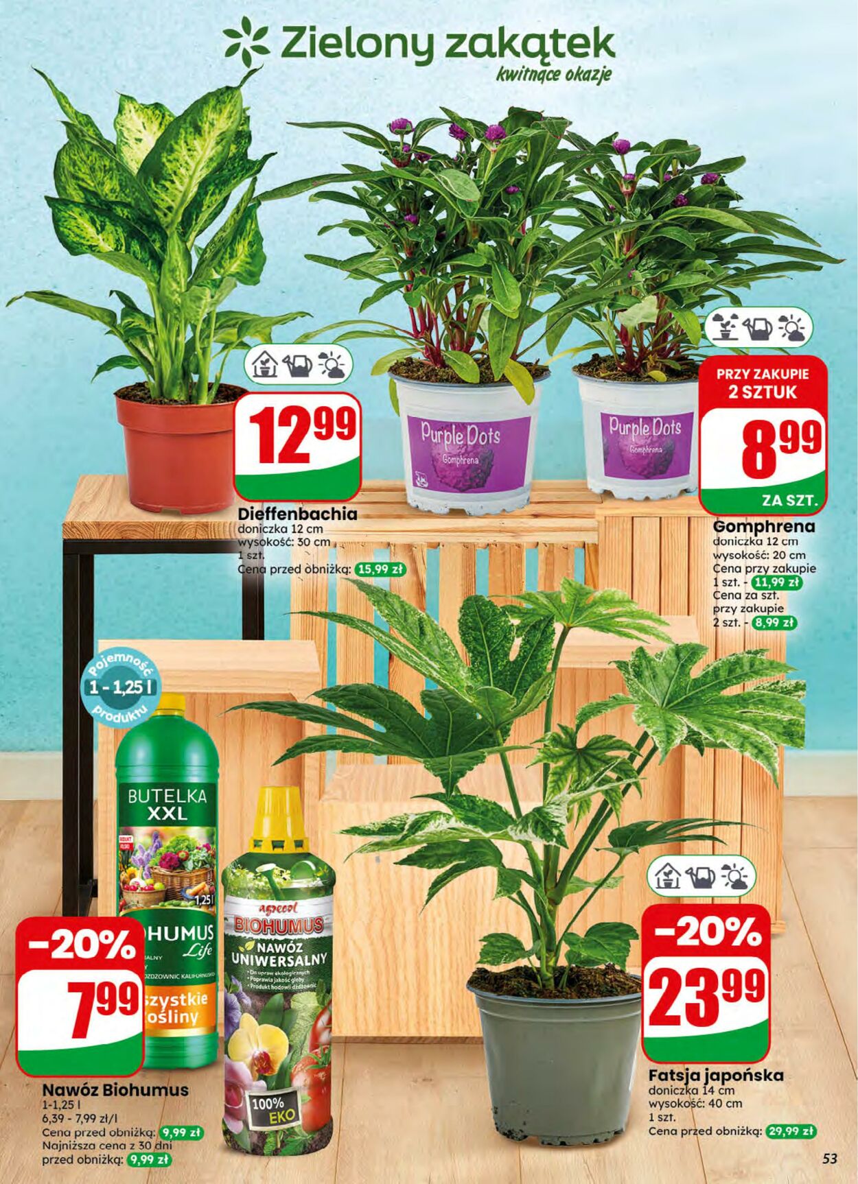 Gazetka DINO 05.08.2026 - 11.08.2026