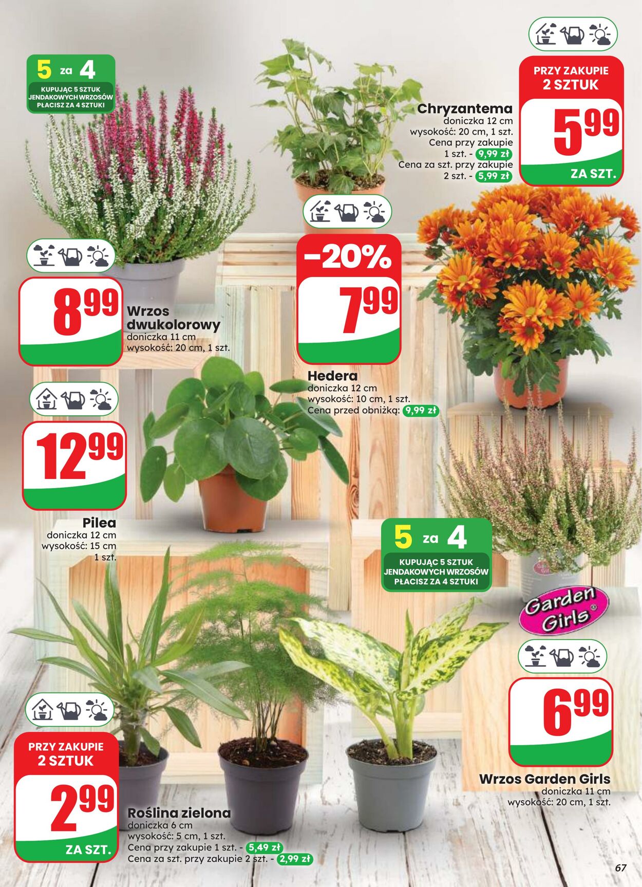 Gazetka DINO 12.08.2026 - 18.08.2026