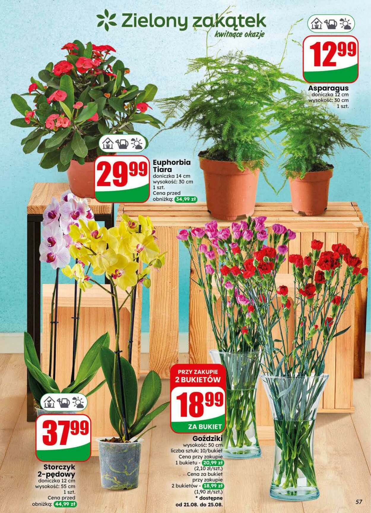 Gazetka DINO 19.08.2026 - 25.08.2026