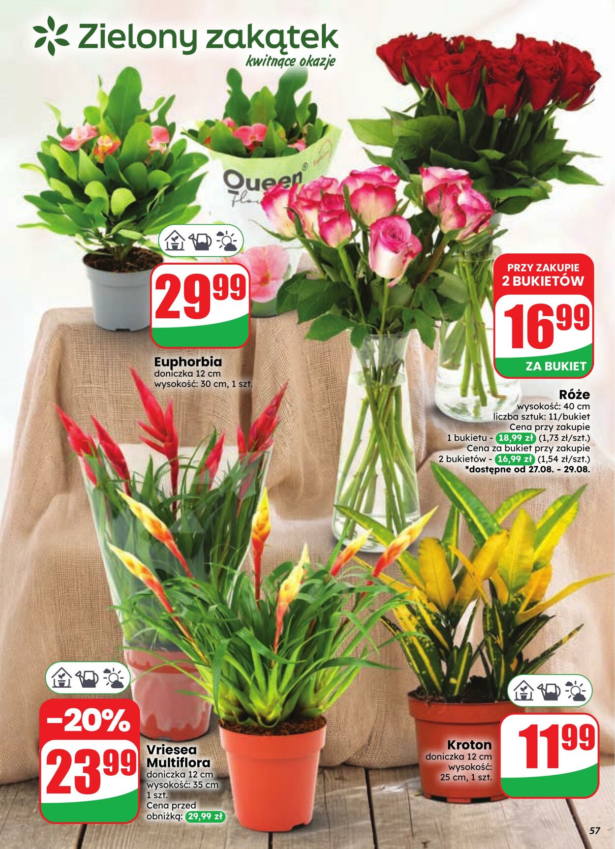 Gazetka DINO 26.08.2026 - 01.09.2026