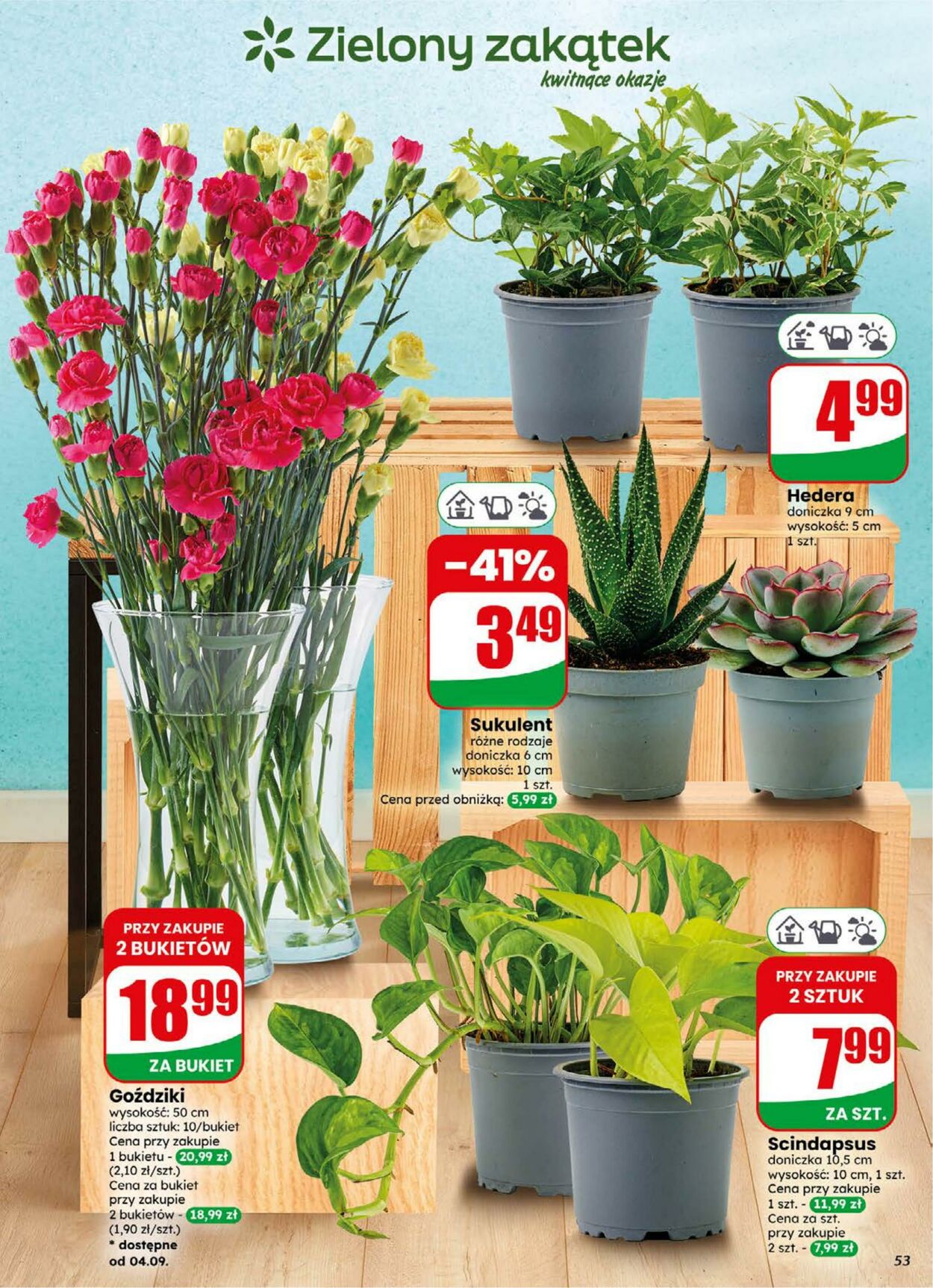 Gazetka DINO 02.09.2026 - 08.09.2026