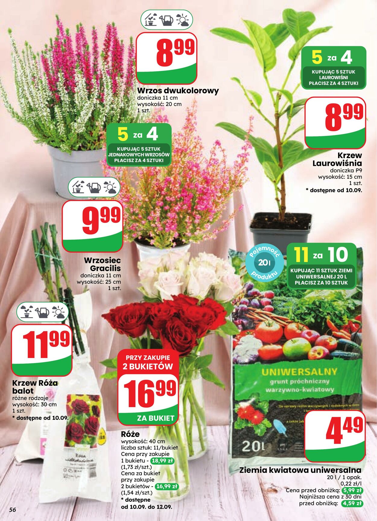 Gazetka DINO 09.09.2026 - 15.09.2026