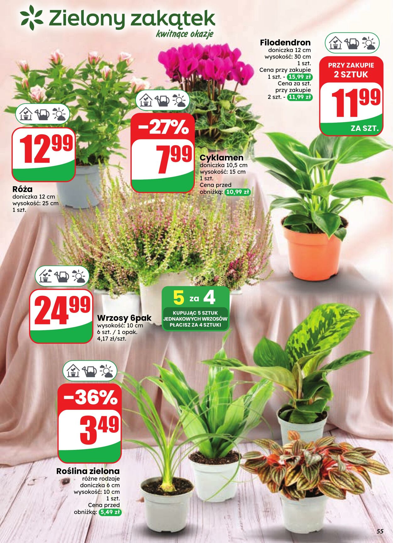 Gazetka DINO 09.09.2026 - 15.09.2026