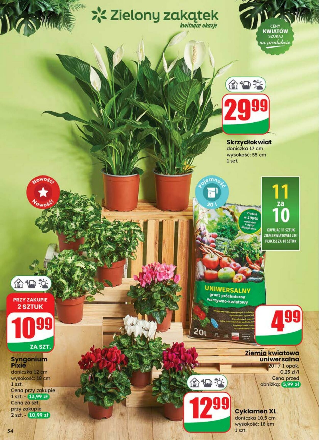 Gazetka DINO 09.07.2025 - 15.07.2025