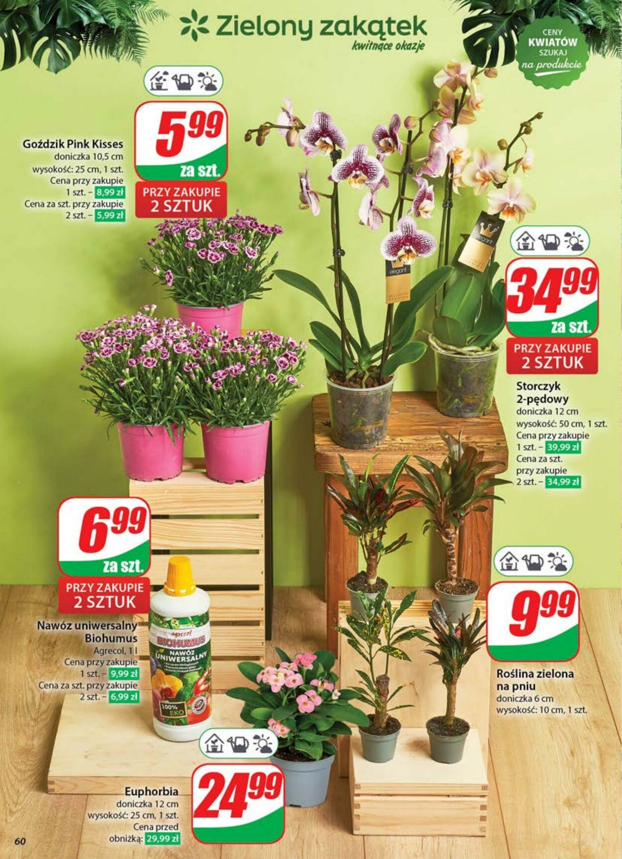 Gazetka DINO 11.06.2025 - 17.06.2025