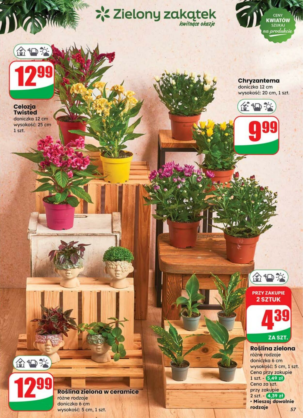 Gazetka DINO 06.08.2025 - 12.08.2025