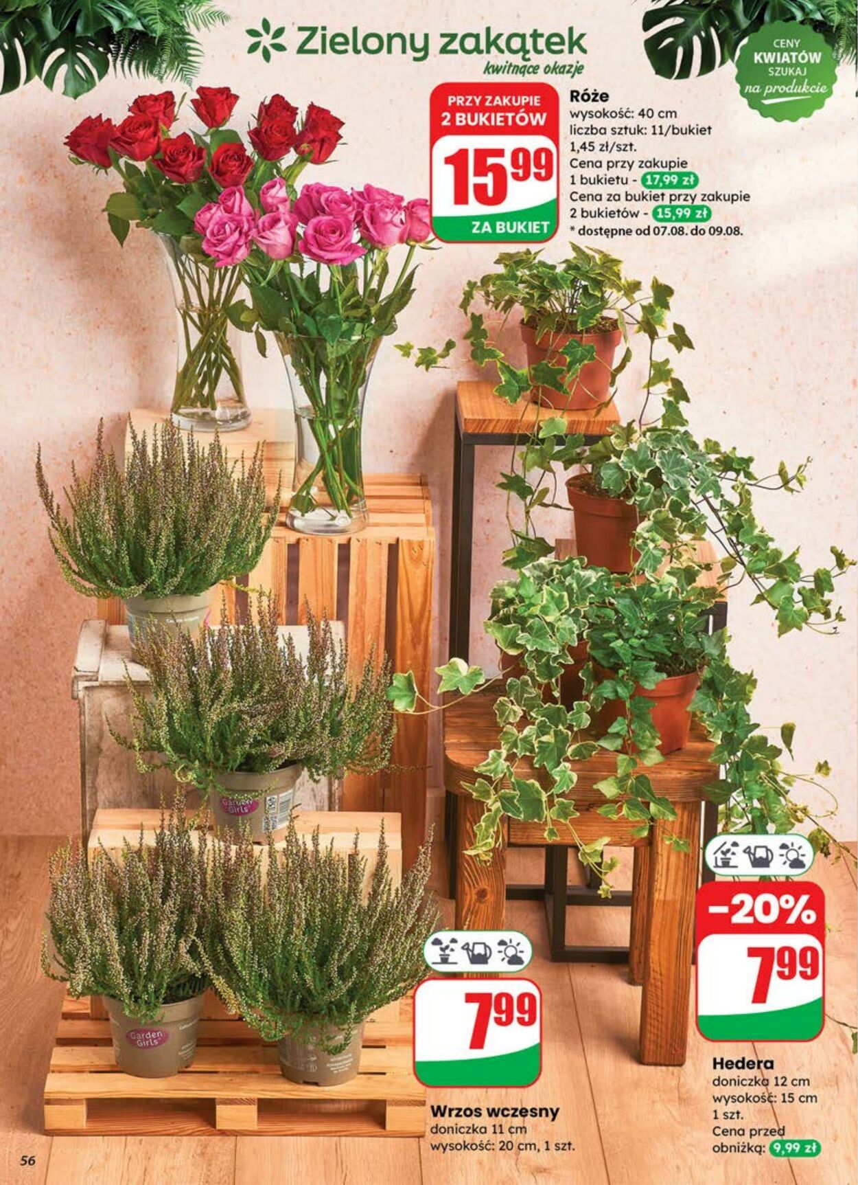Gazetka DINO 06.08.2025 - 12.08.2025