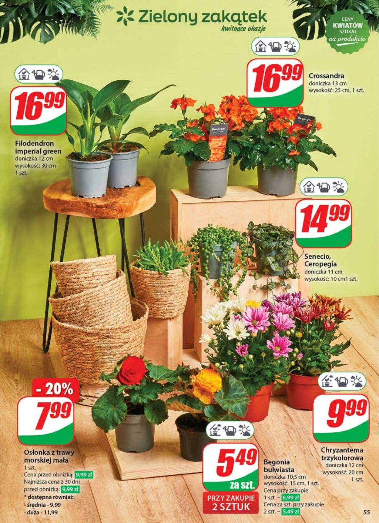 Gazetka DINO 04.06.2025 - 10.06.2025