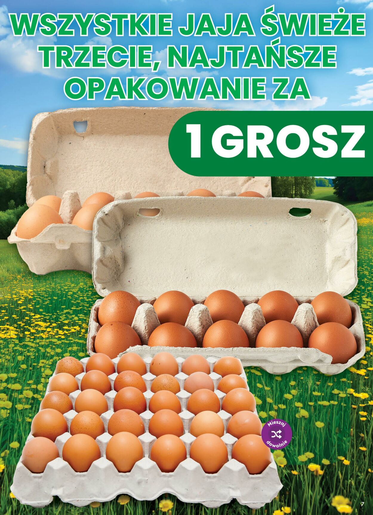 Gazetka DINO 21.08.2026 - 22.08.2026